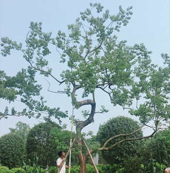 万达·汉安印丨中国内江丨重庆犁墨景观规划设计咨询有限公司-65