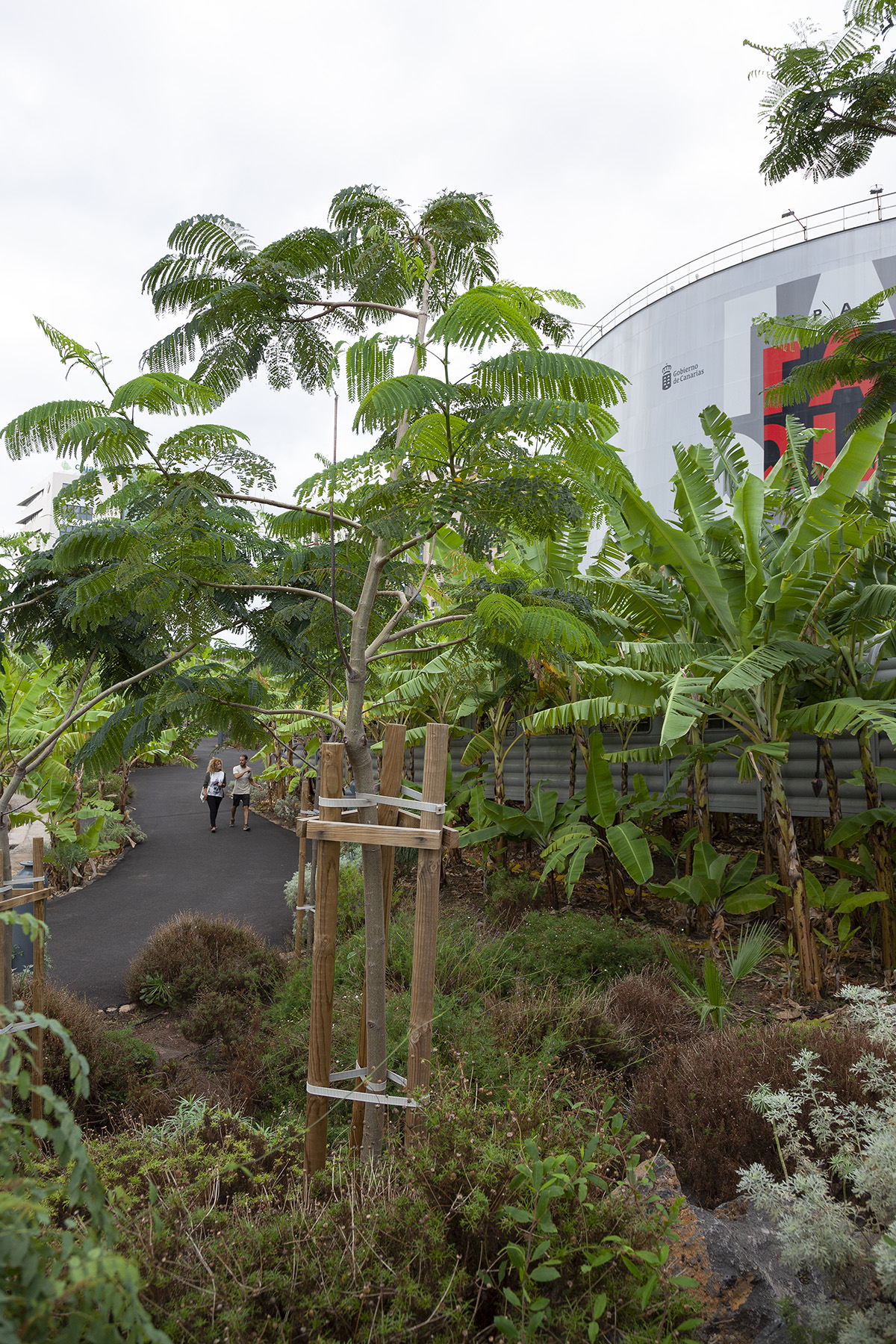 西班牙El Tanque文化空间丨Fernando Menis-47