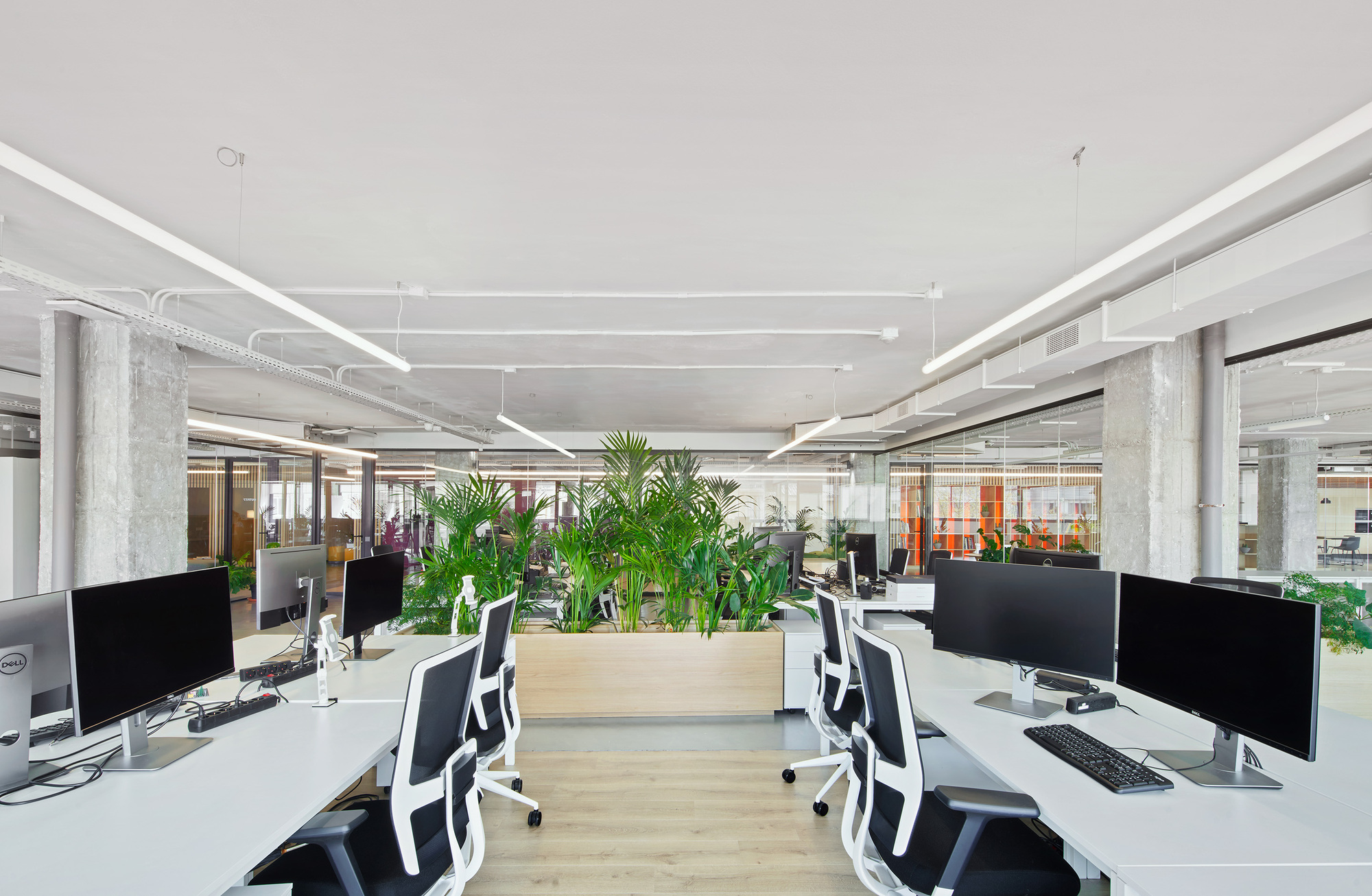 Startup Hub in 22@ / Elastiko-28