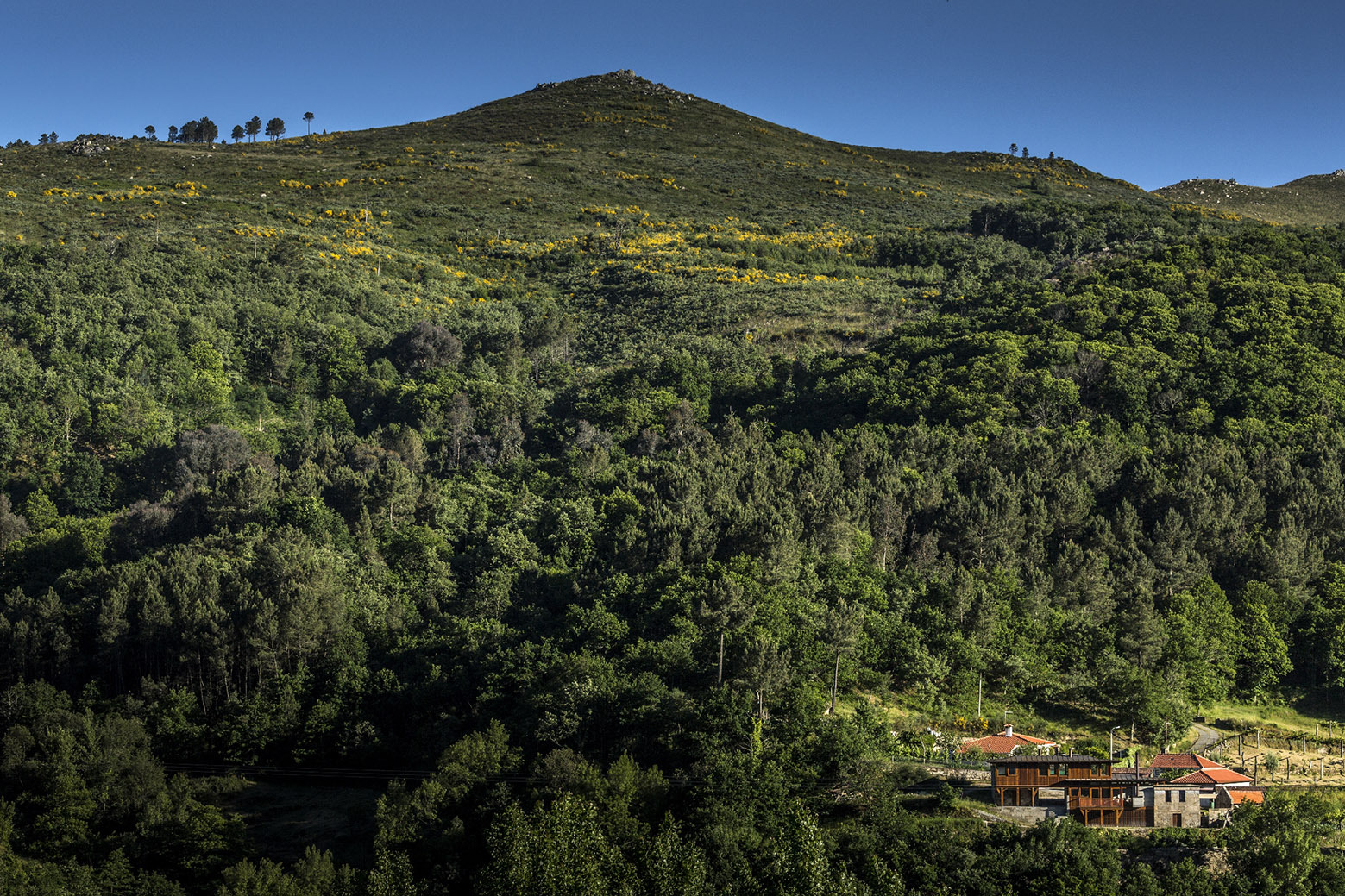 葡萄牙神秘废墟中的科斯塔格兰德住宅-14