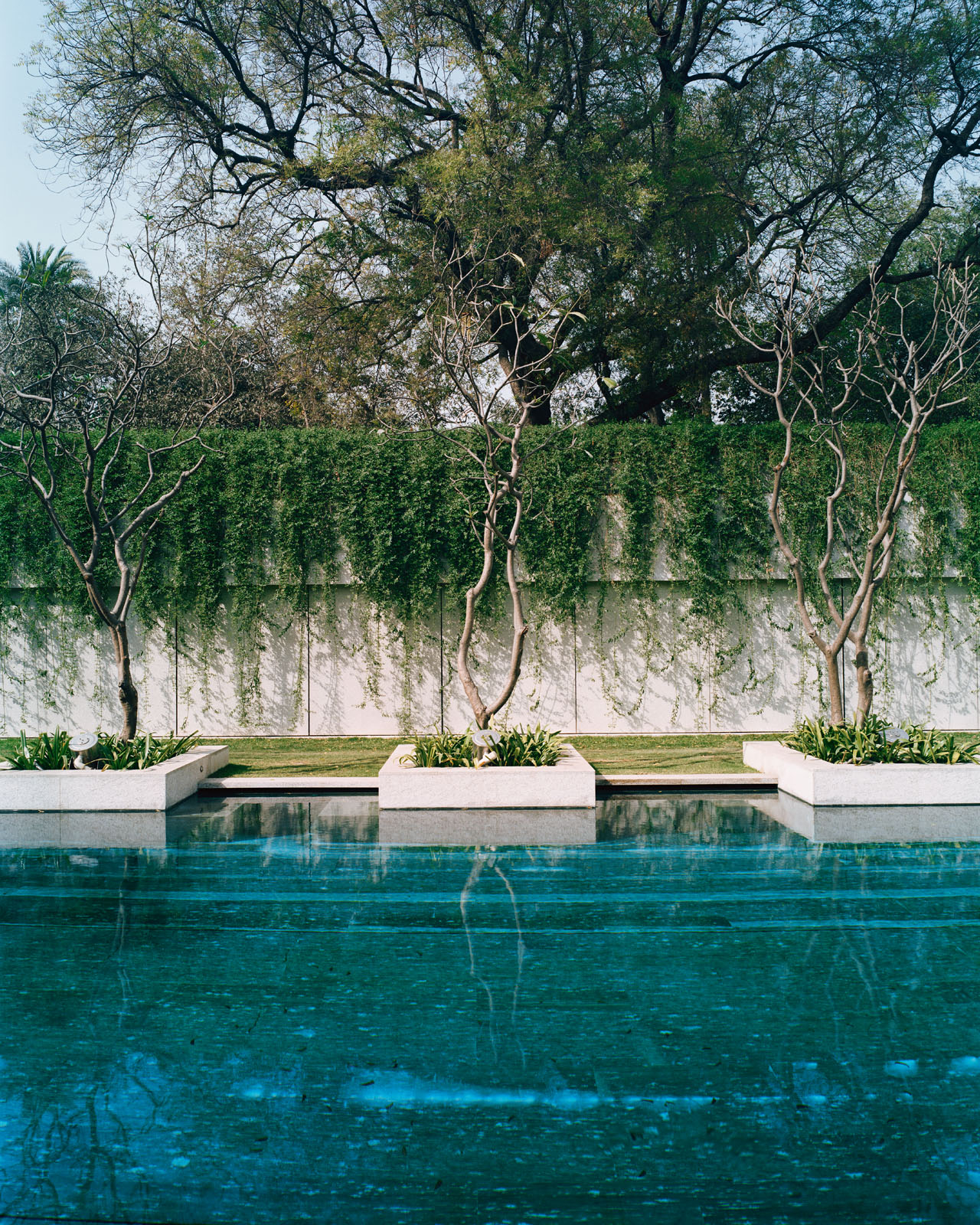 新德里结合现代艺术和法式风情的简约住宅 （Liaigre）Frauke Meyer 设计-30