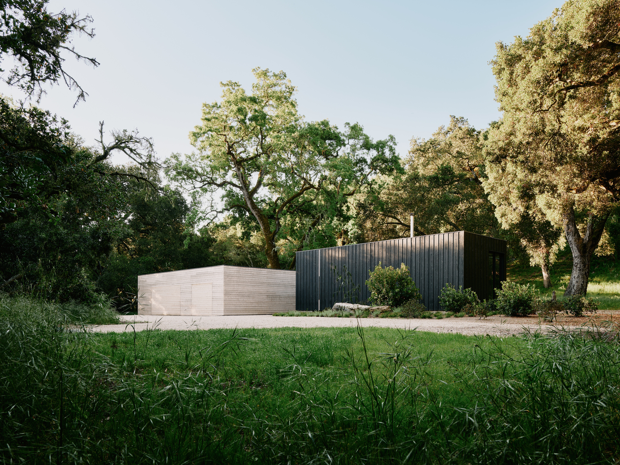 丨美国丨Studio Schicketanz-7