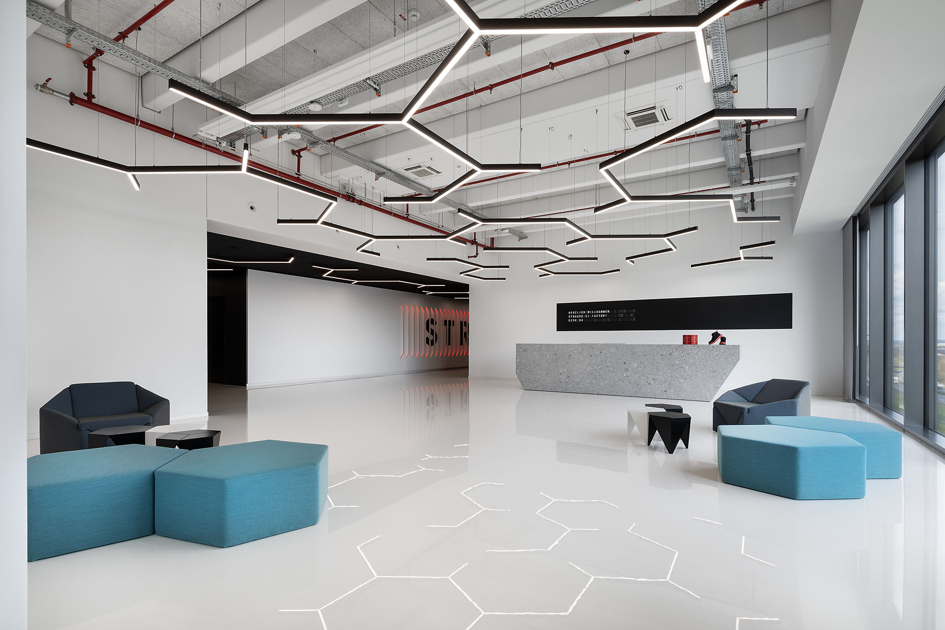 STRAUSS CI FACTORY-10