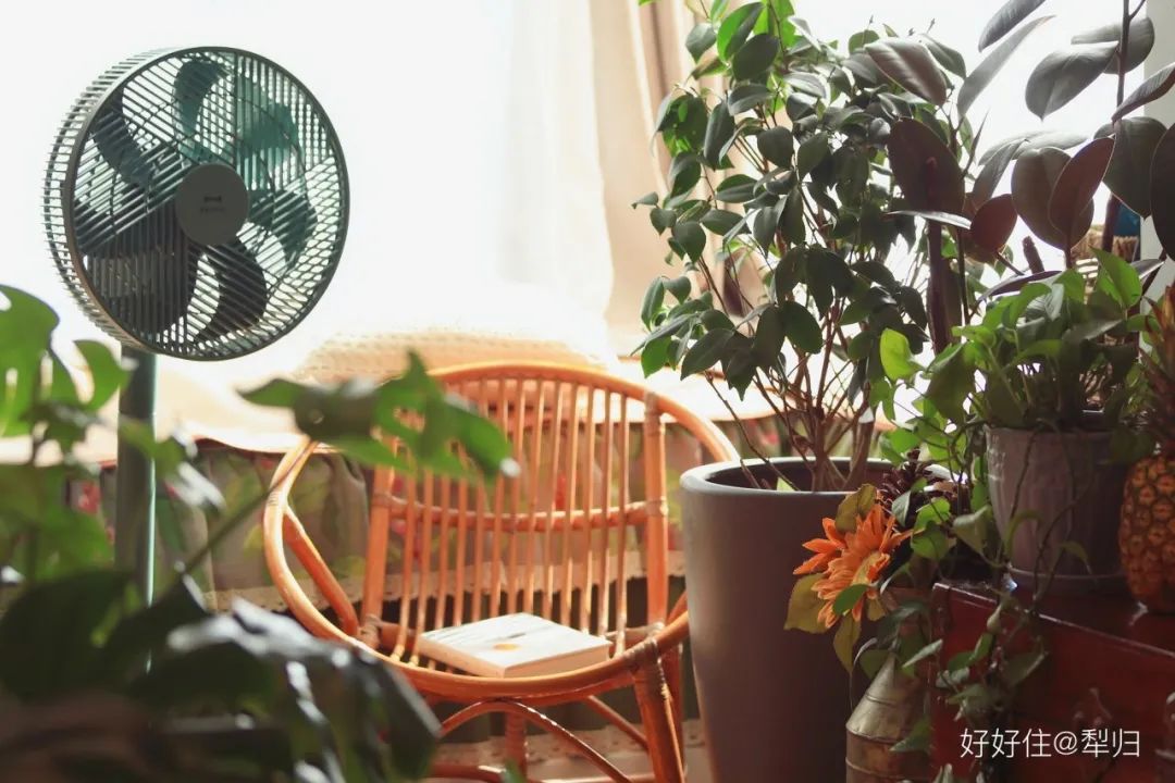 小家有大爱 | 温馨家居设计实例-91