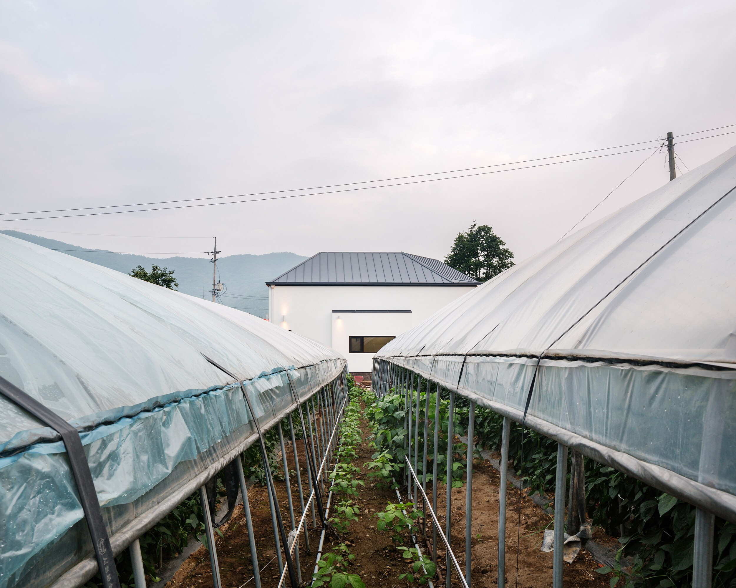 韩国家乡儿童乐园·小森林路径住宅-18