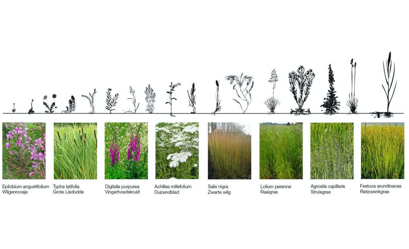 Amsterdam 船厂公园 | 废弃地变身绿色孵化器-14