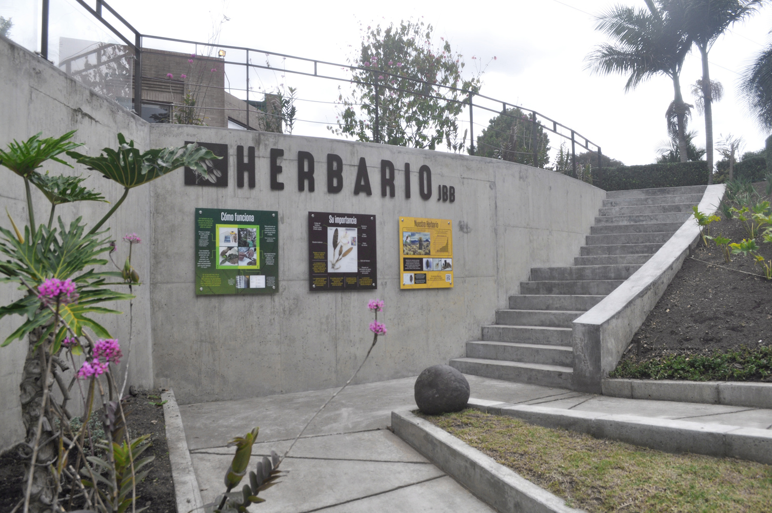 波哥大植物园植物标本馆-42