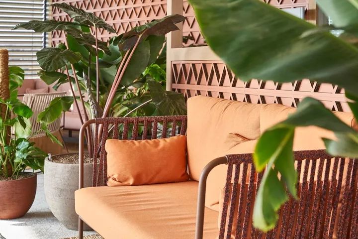 日内瓦 GAVI 办公室设计展现多样性与温暖-29