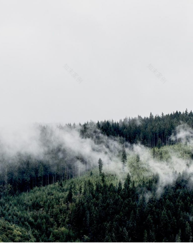 YuQiang & Partners x WOW DECO | 香蜜湖后花园半山住宅-7