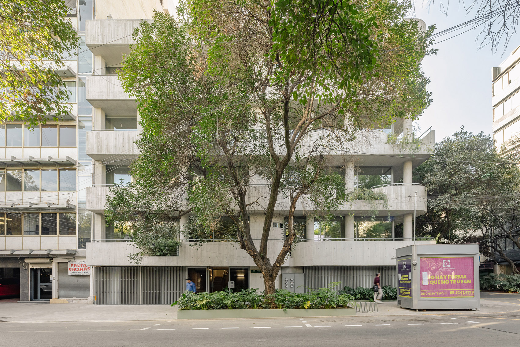 C294公寓丨墨西哥墨西哥城丨Michan Architecture-3