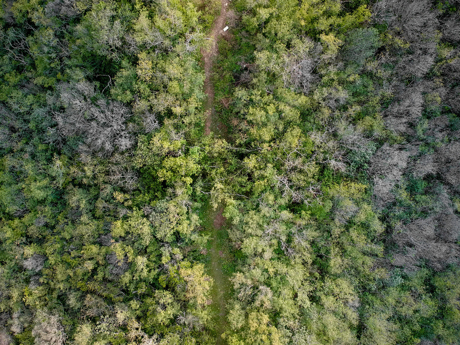 共生荒原 · 揭示人与自然和谐共生的景观建构-22
