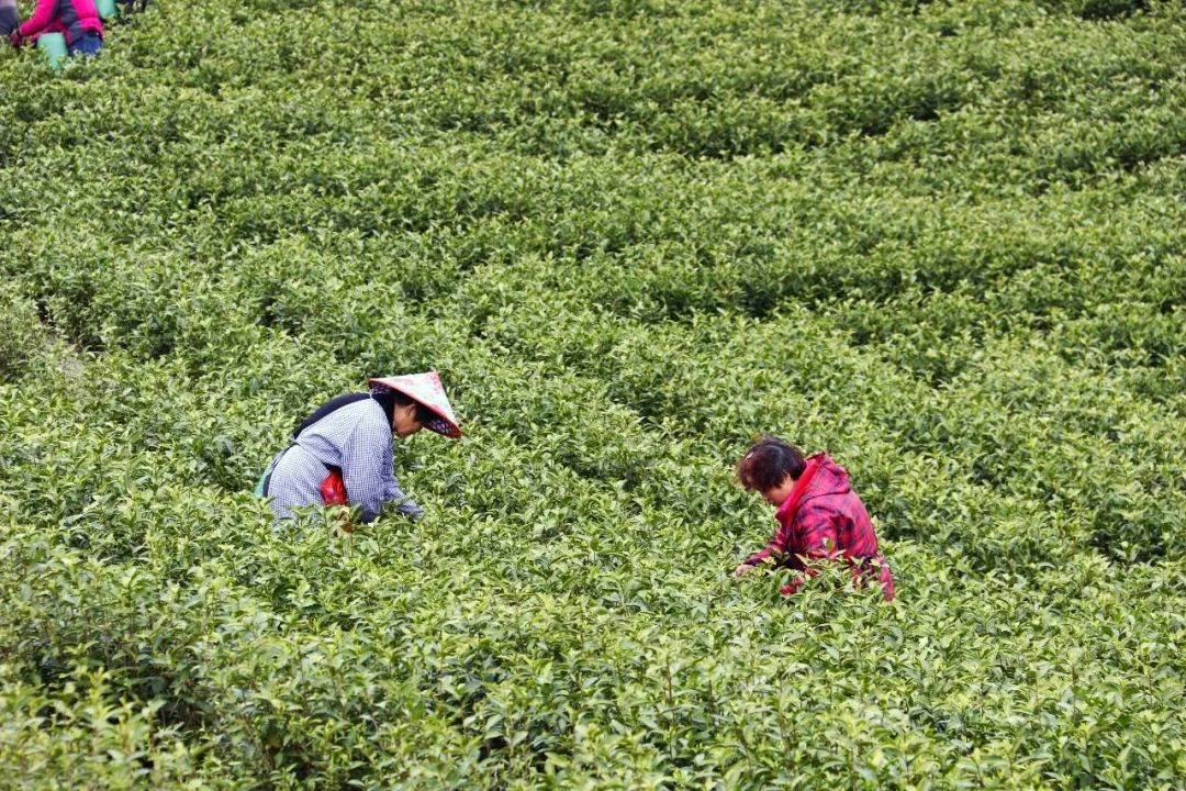 野花农场度假村丨美国纽约丨Auberge Resorts Collection-61