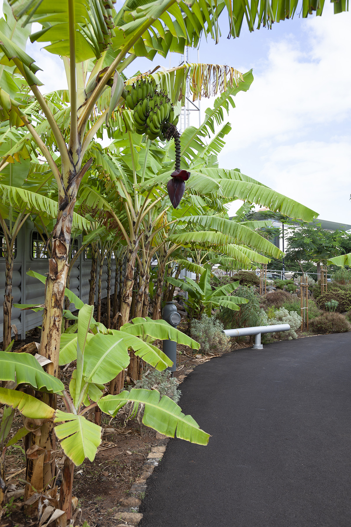 西班牙El Tanque文化空间丨Fernando Menis-42