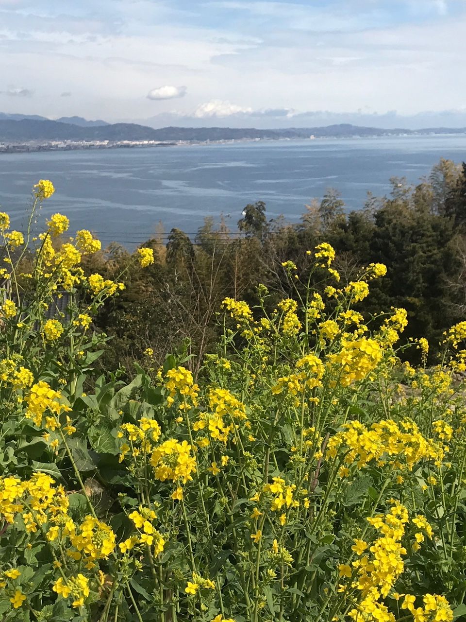 小田原文化財団 江之浦測候所丨日本神奈川丨杉本博司-36
