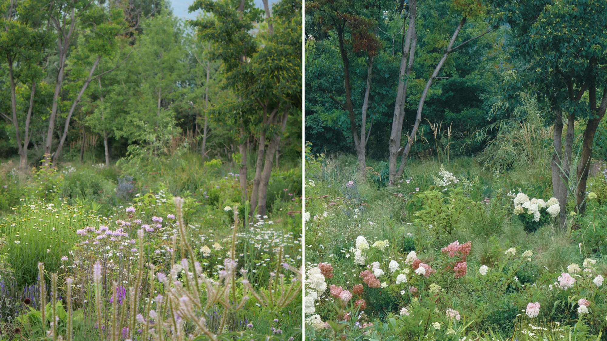 大理山下花园丨中国大理丨上海叙野景观设计有限公司-84