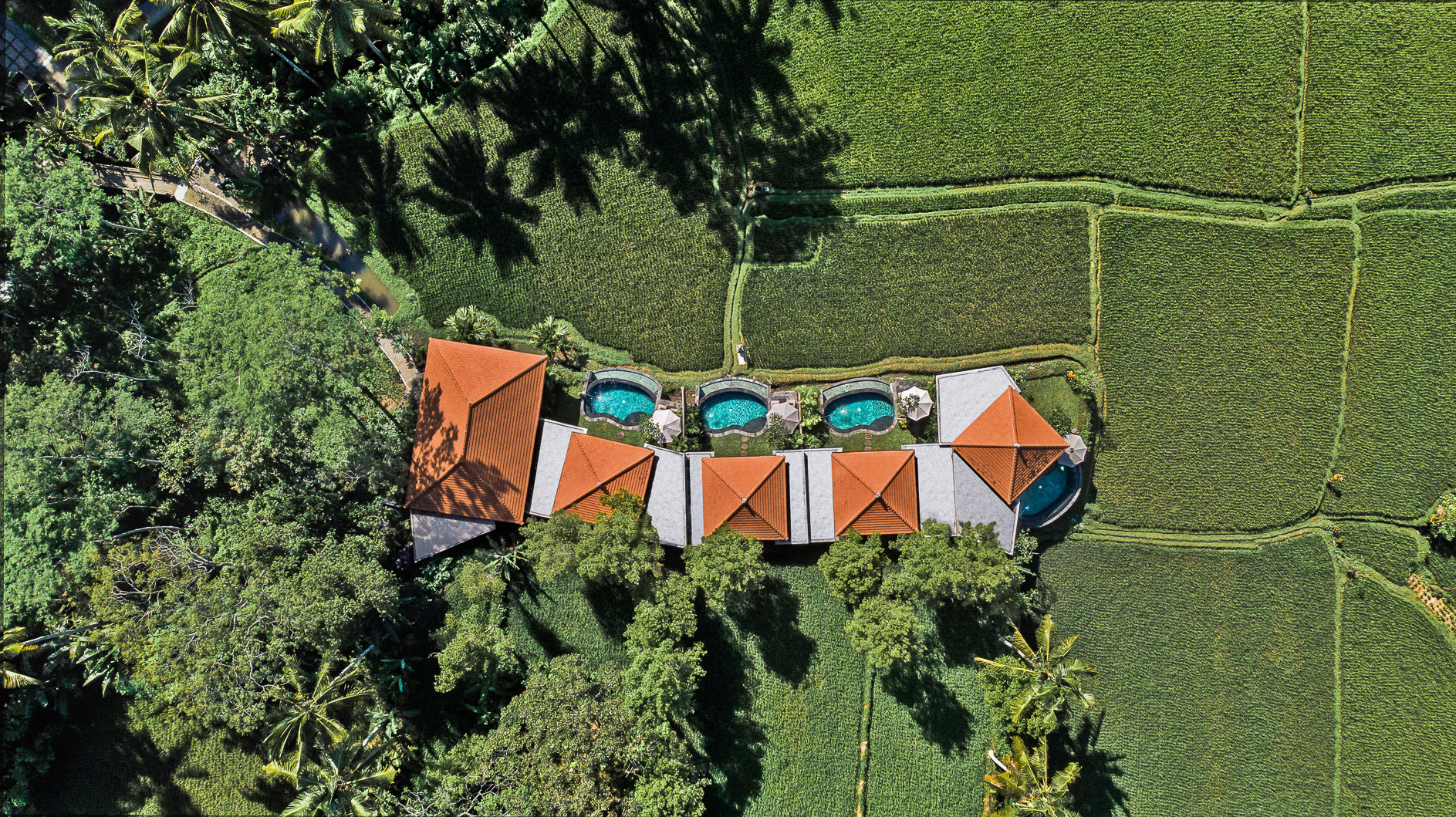 阿南达库布别墅丨@agung_abeevisual-1