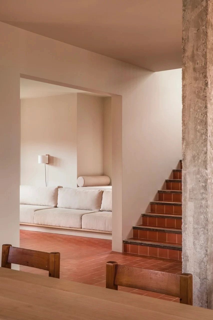 PLANTEA｜新的生命力-14