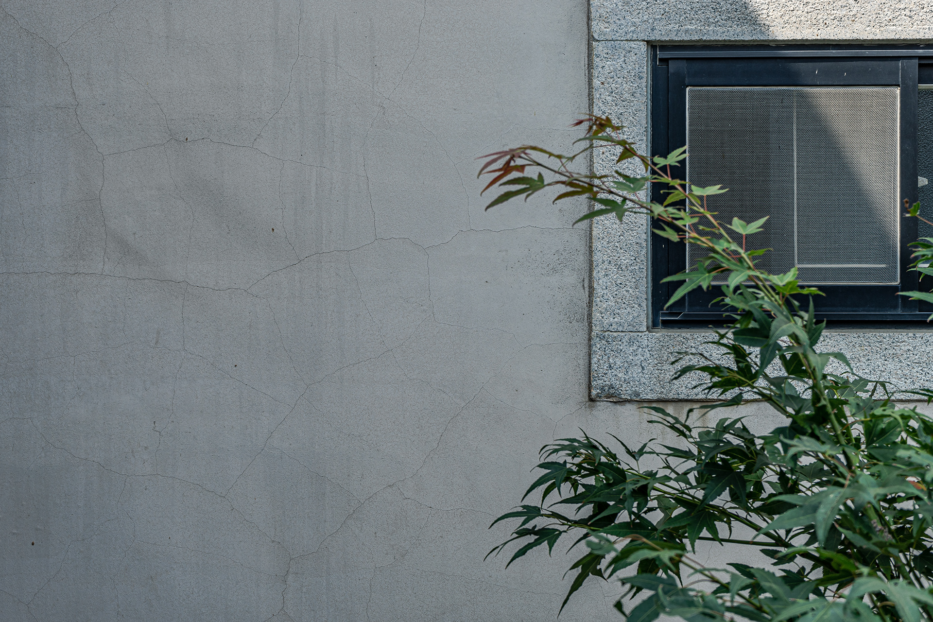 珠山自宅/Leechen Studio-7