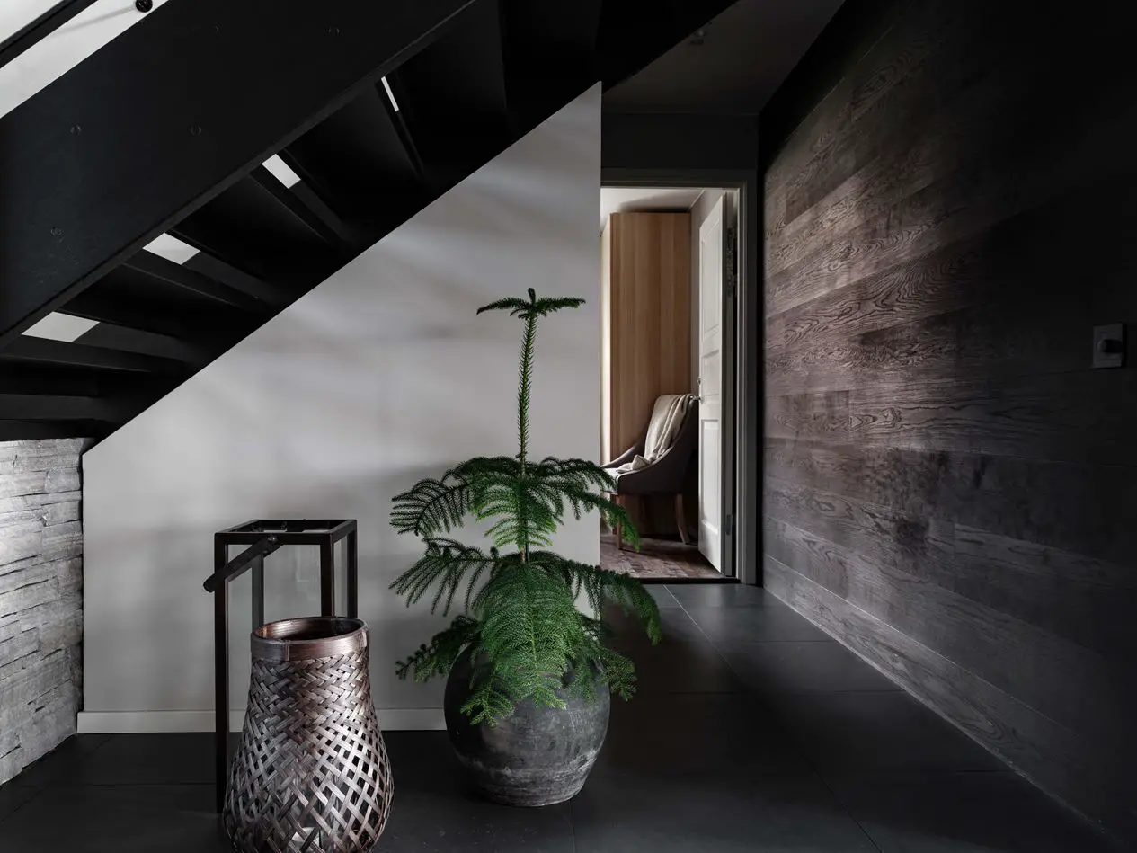 瑞典高山现代暗色调住宅设计-14