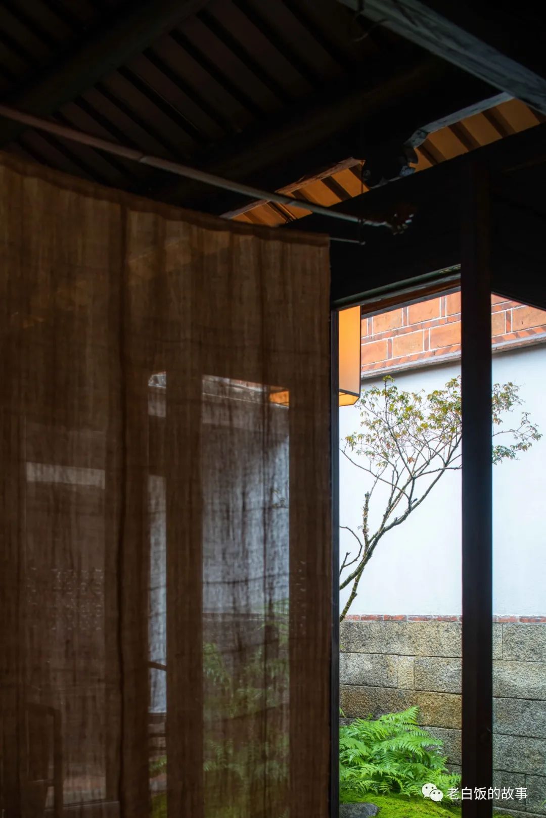 自然生机与古老建筑的碰撞——鼓浪屿二三丛-33