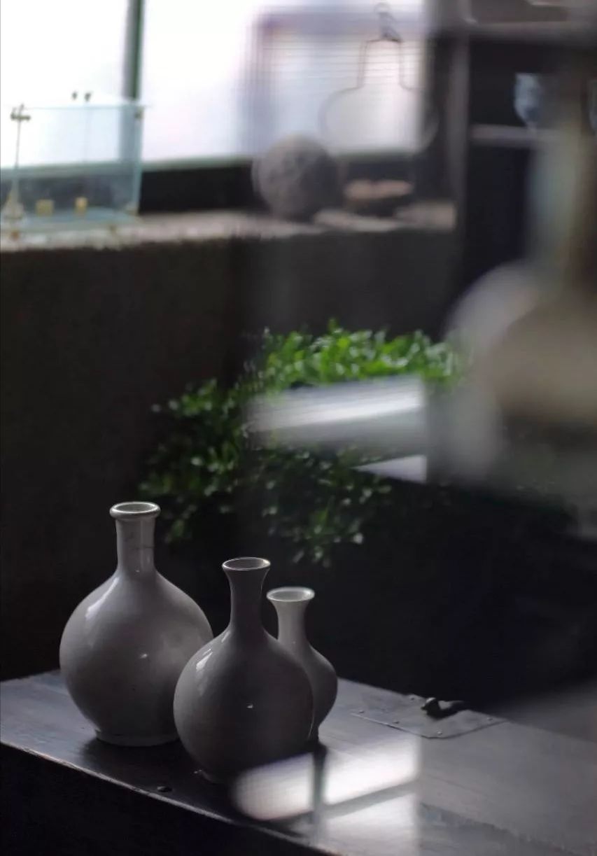 忙中静趣 | 领略生活的美好-15