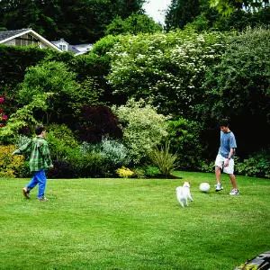 庭院宠物之家 | 打造宠物宜居的户外空间-9