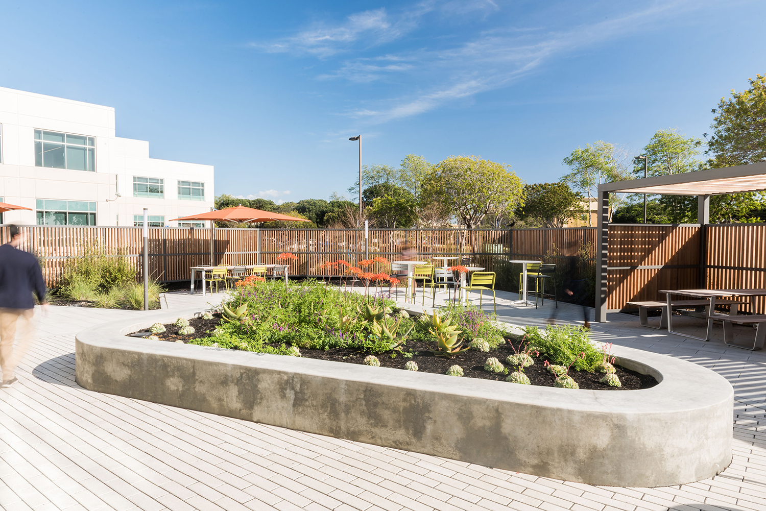 美国Exelixis行政总部和行政大楼周围景观-8