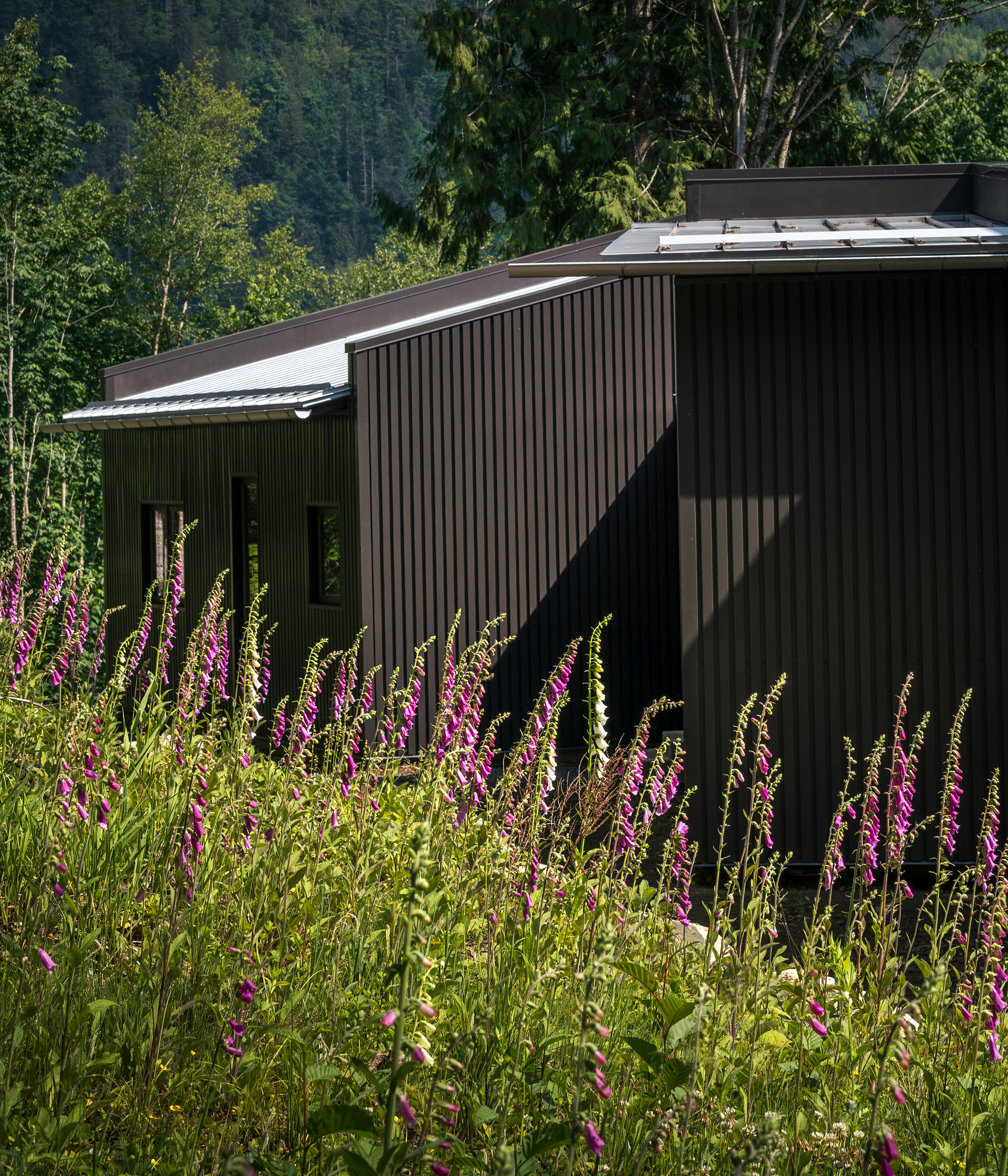 银色住宅丨美国华盛顿丨Studio Nocturne-29