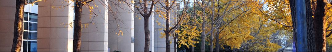 北京化工大学景观提升改造-3