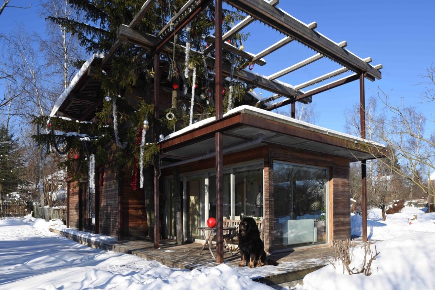 莫斯科魅力暗木小屋,玻璃墙环绕的全年宜居亭子-6