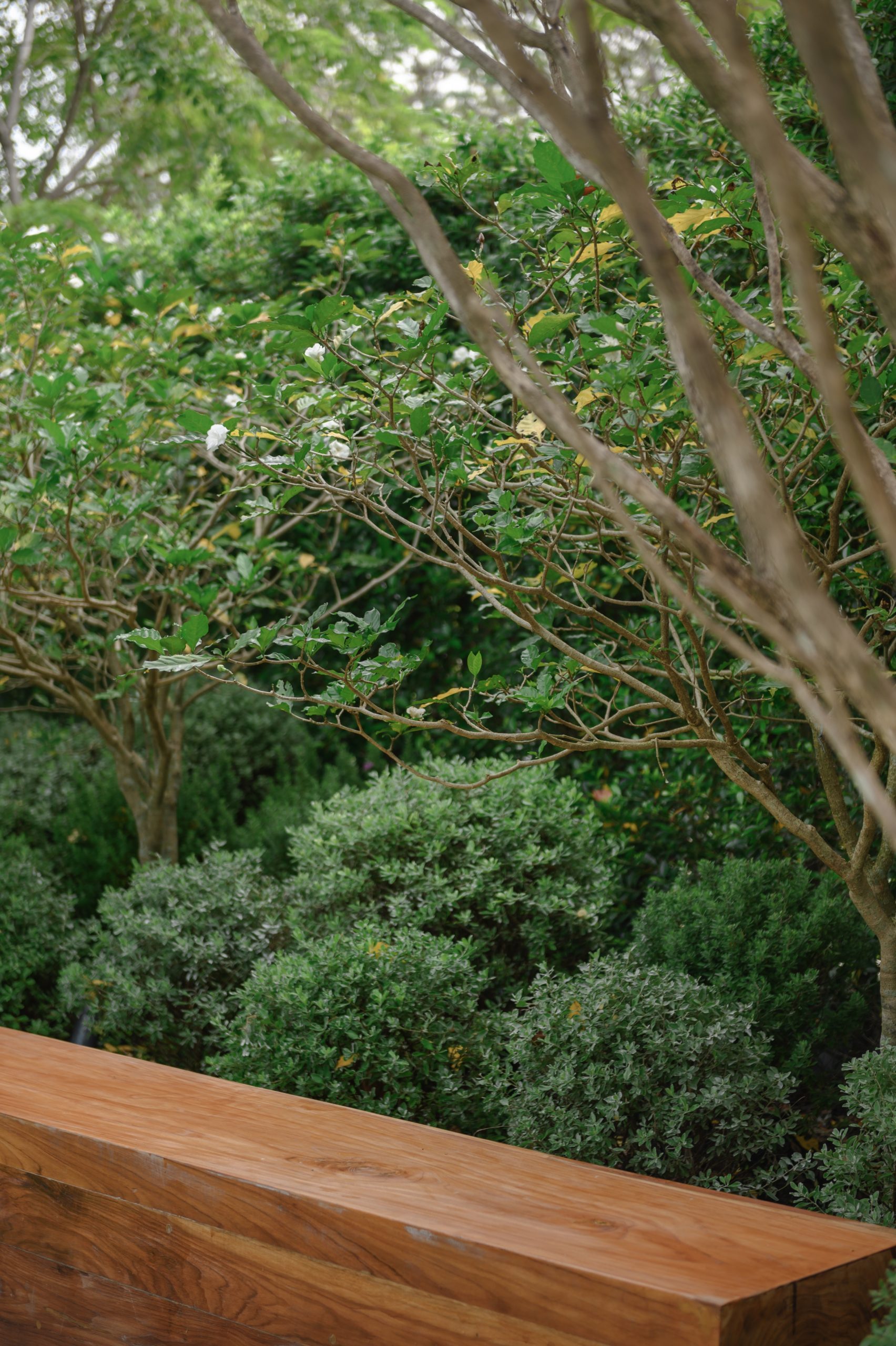 曼谷 PK 住宅庭园丨泰国曼谷丨Landscape Tectonix Limited-25