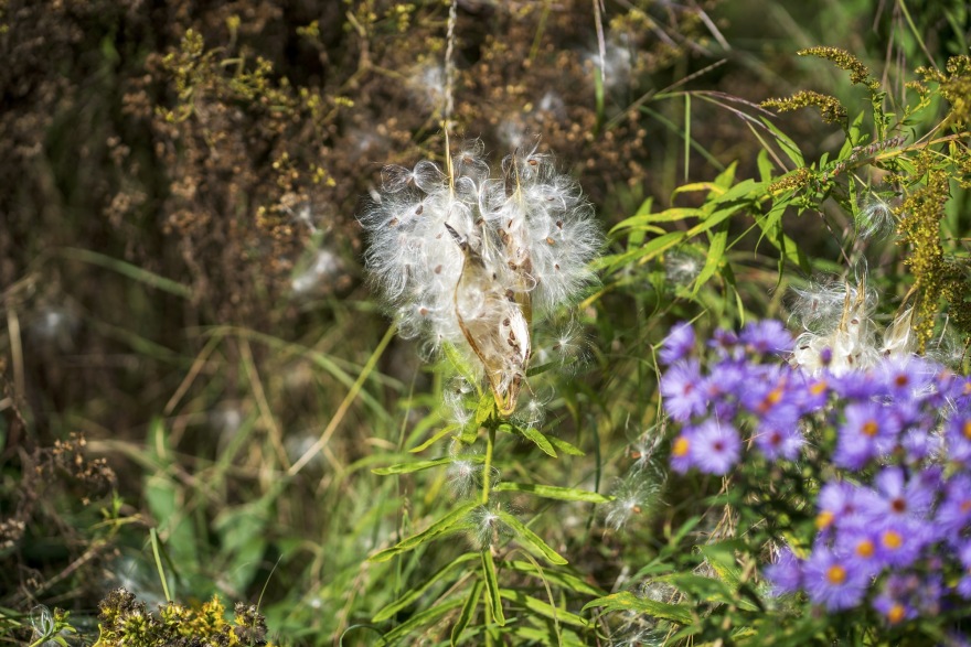 丨加拿大多伦多丨Poiesis Architecture-50