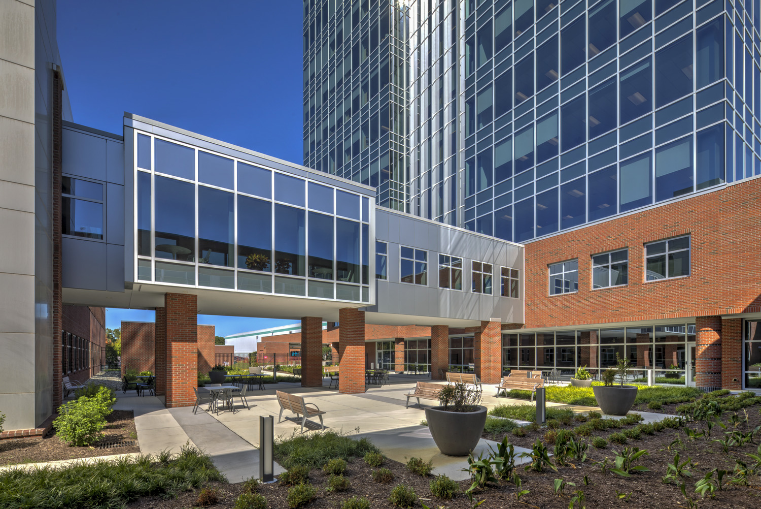 Dollar Tree 总部办公楼 | 高效办公与绿色生态的完美结合-10