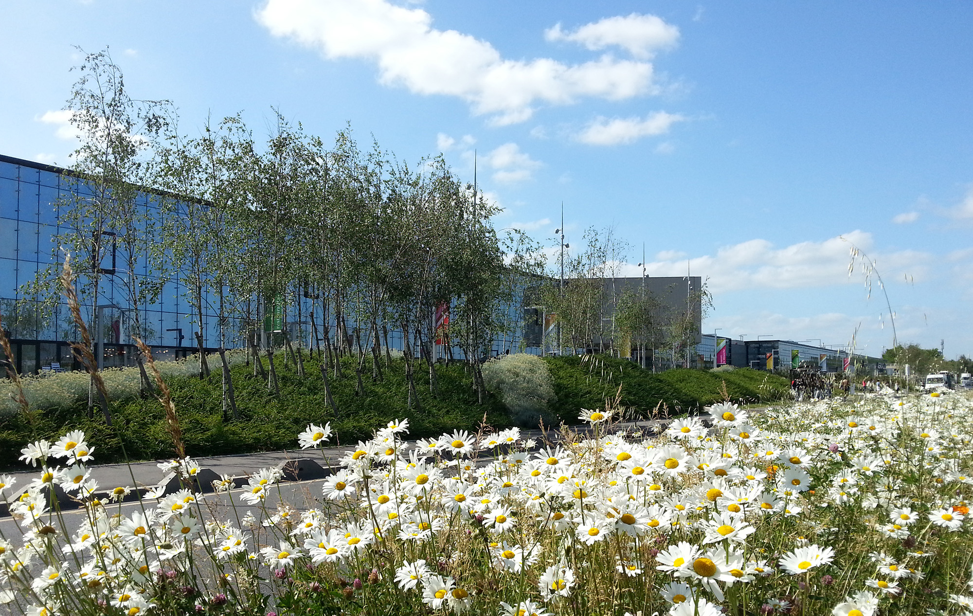 Centre de commerces et de services Aéroville - La Compagnie du Paysage-41