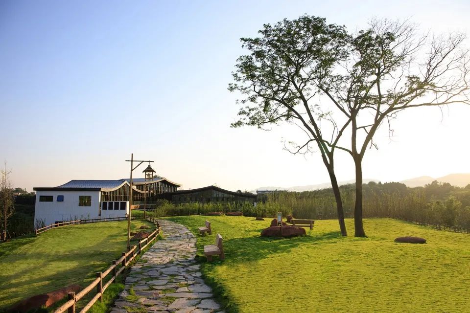 成都新希望种子乐园丨蓝海景观-84