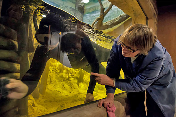 Воронеже 之「Дом бобра」建设丨Аква Лого инжиниринг-16