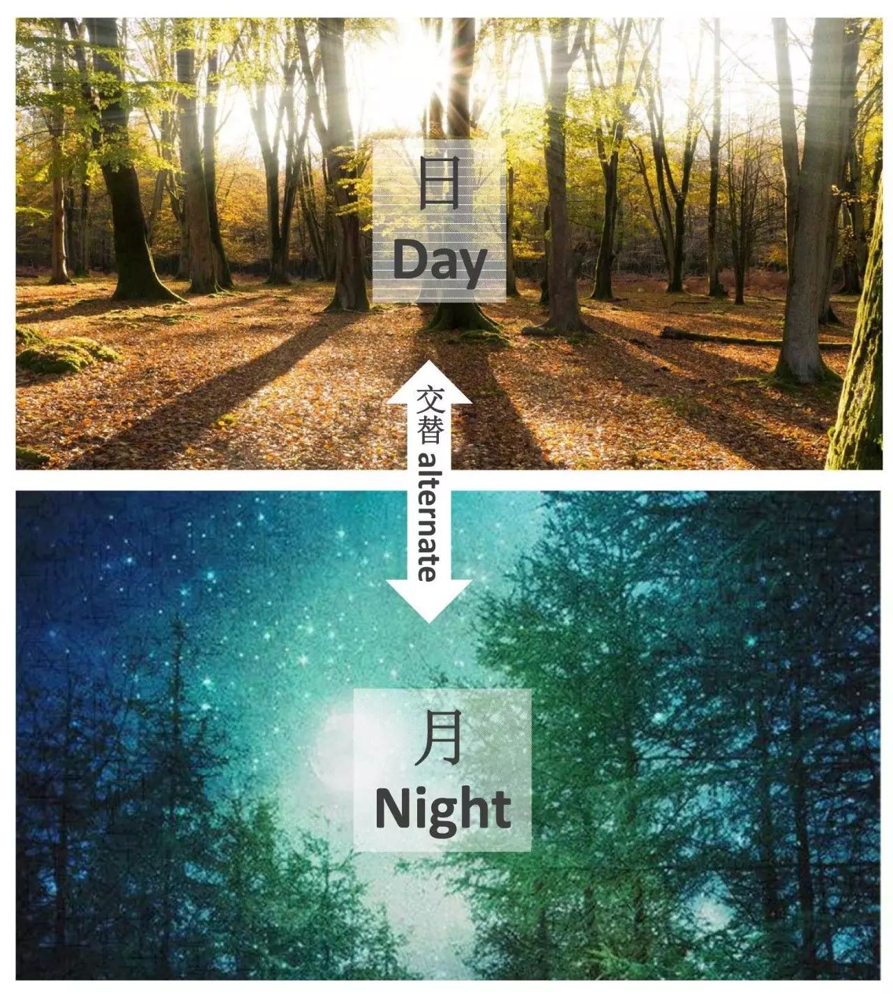 设计典范丨【案例篇】日 月 星 晨·一座崇尚自然的购物广场-38