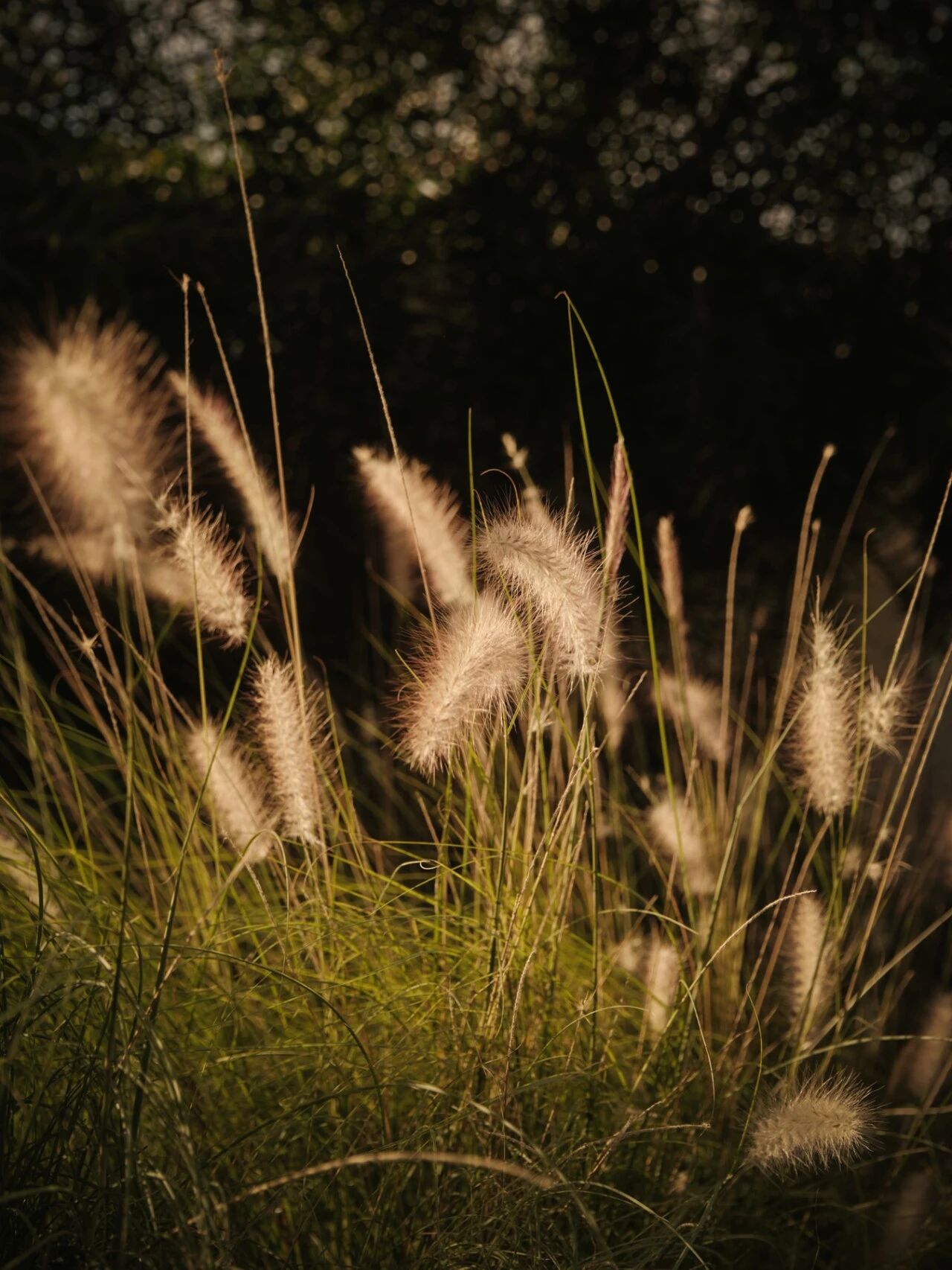 海耳咖啡馆丨中国泉州丨尚壹扬设计-62