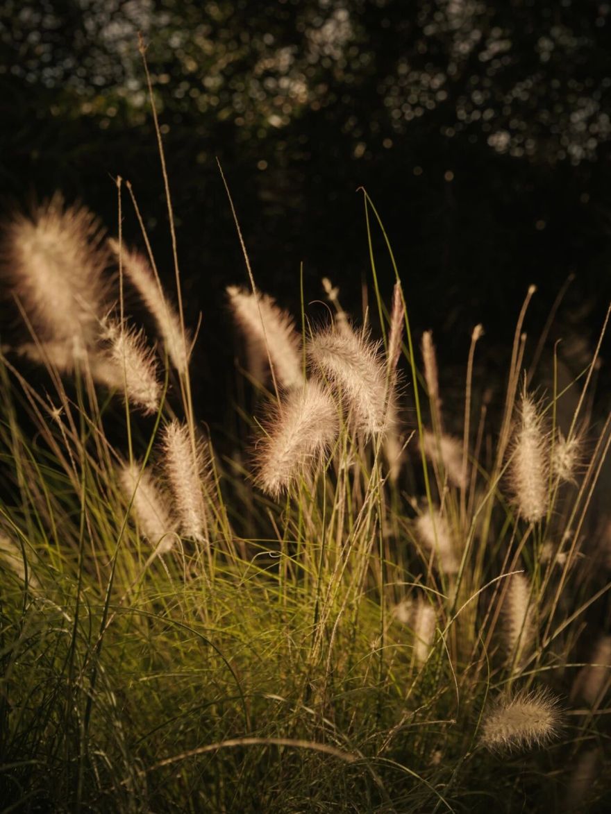 海耳咖啡馆丨中国泉州丨尚壹扬设计-62