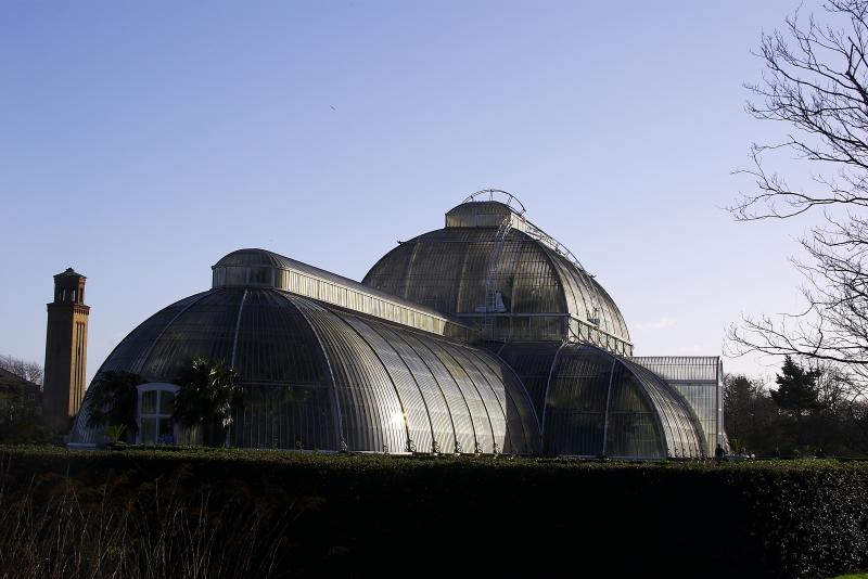 伦敦基尤皇家植物园(Royal Botanic Gardens, Kew )-116