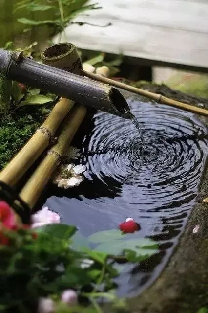 寻回端午情愫，共享棕香诗意-21