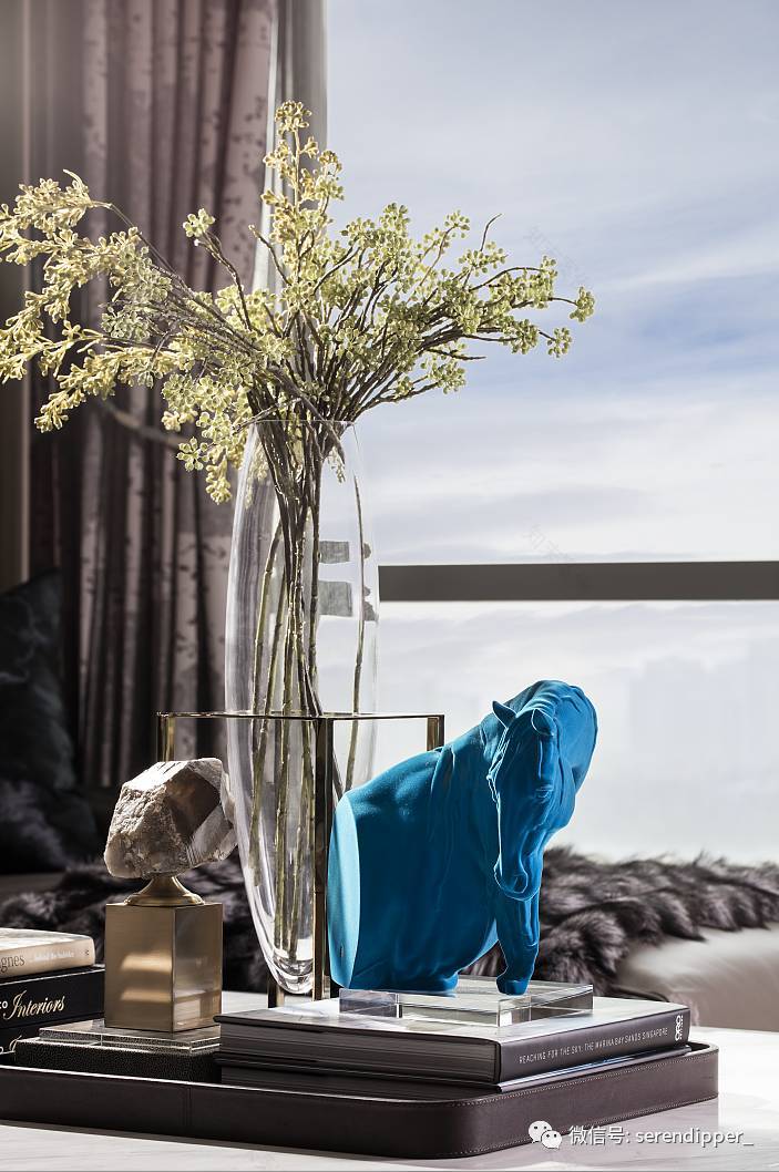 赛瑞迪普空间作品:苏州丰隆城市中心样板房设计-21