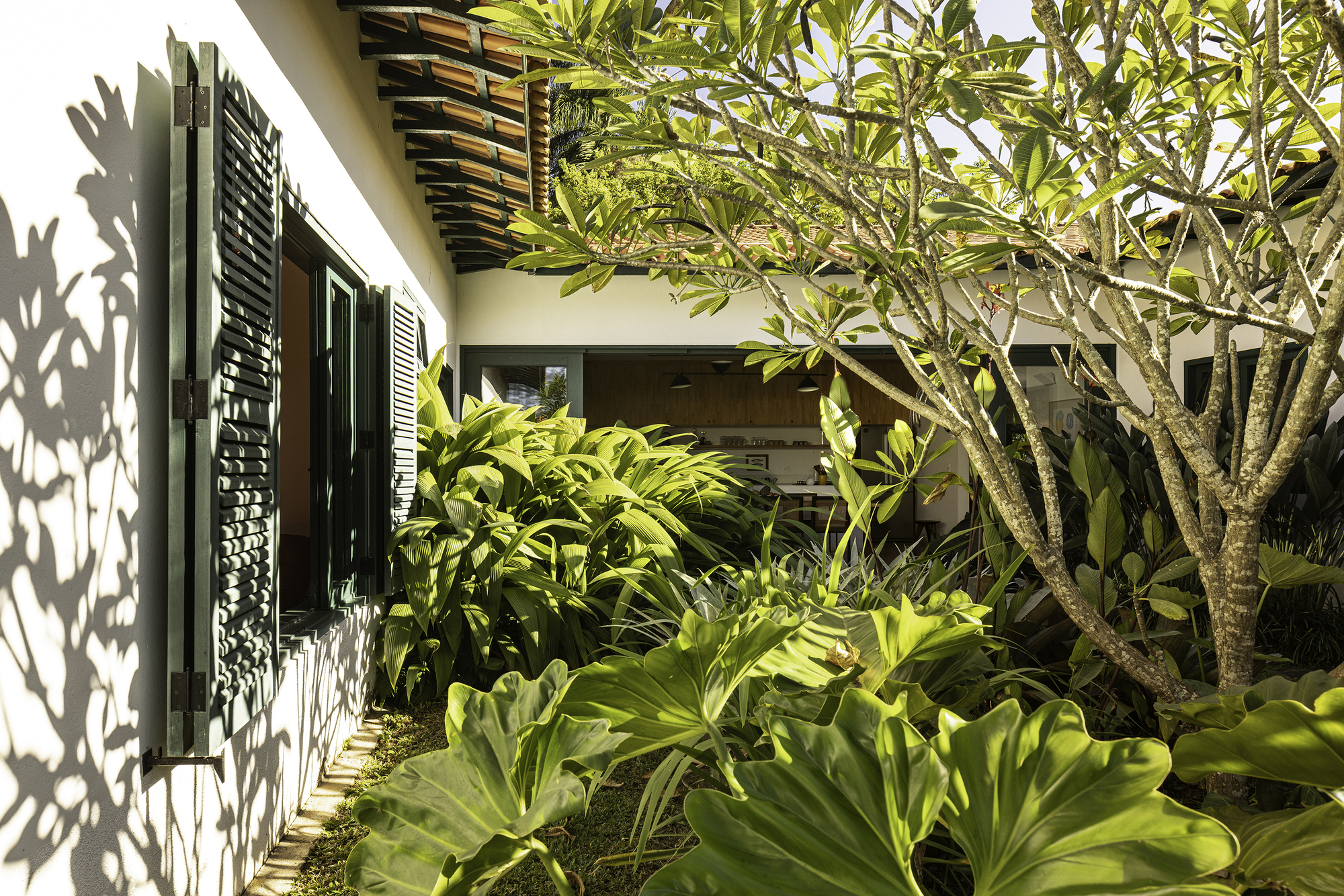 皮涅罗农场丨巴西丨Equipe Lamas-14