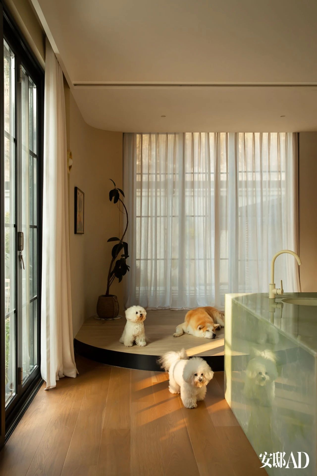 从北京迁居杭州，三犬一猫，6口之家的400平方米乐园-20