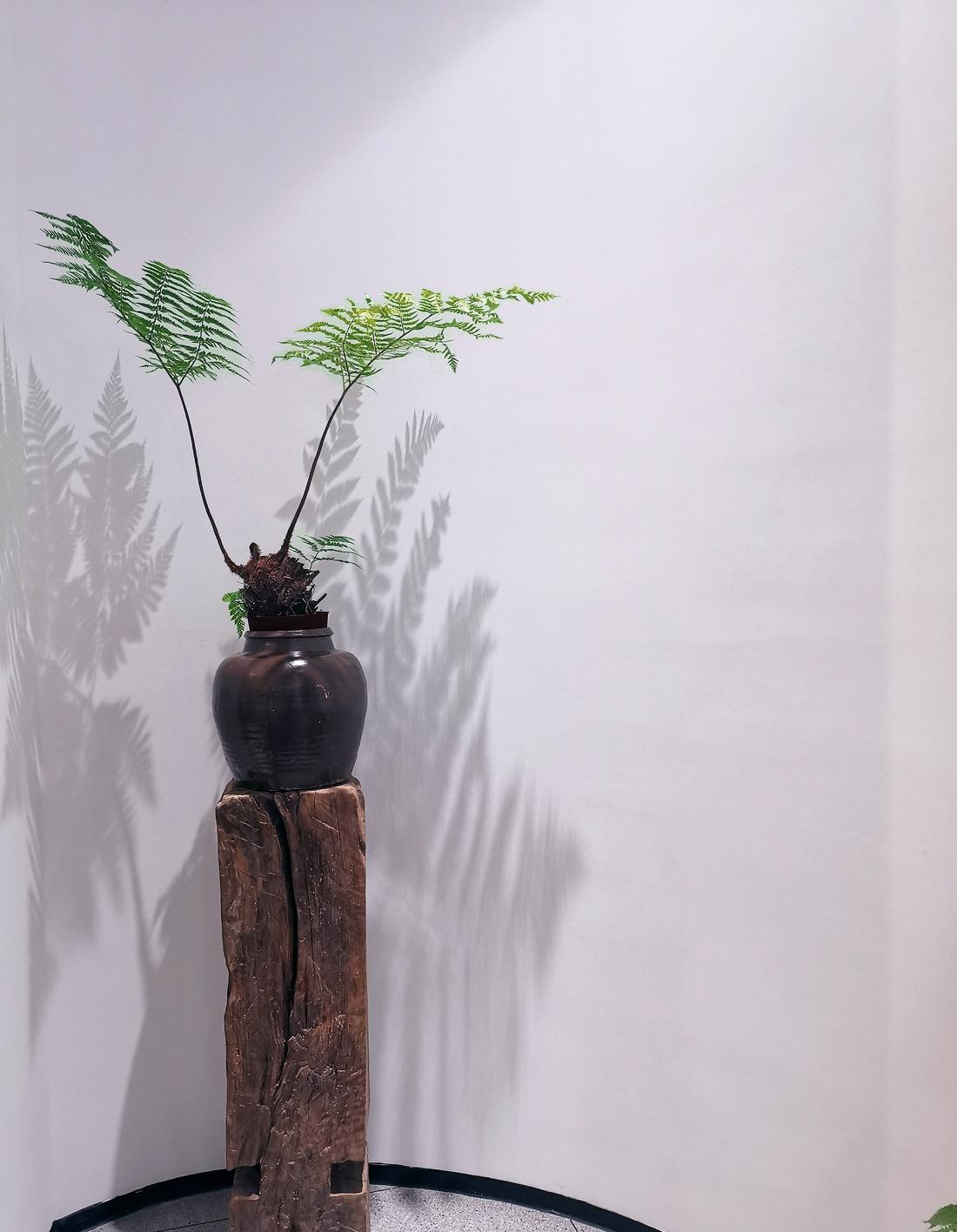 华同德堂中医馆-15