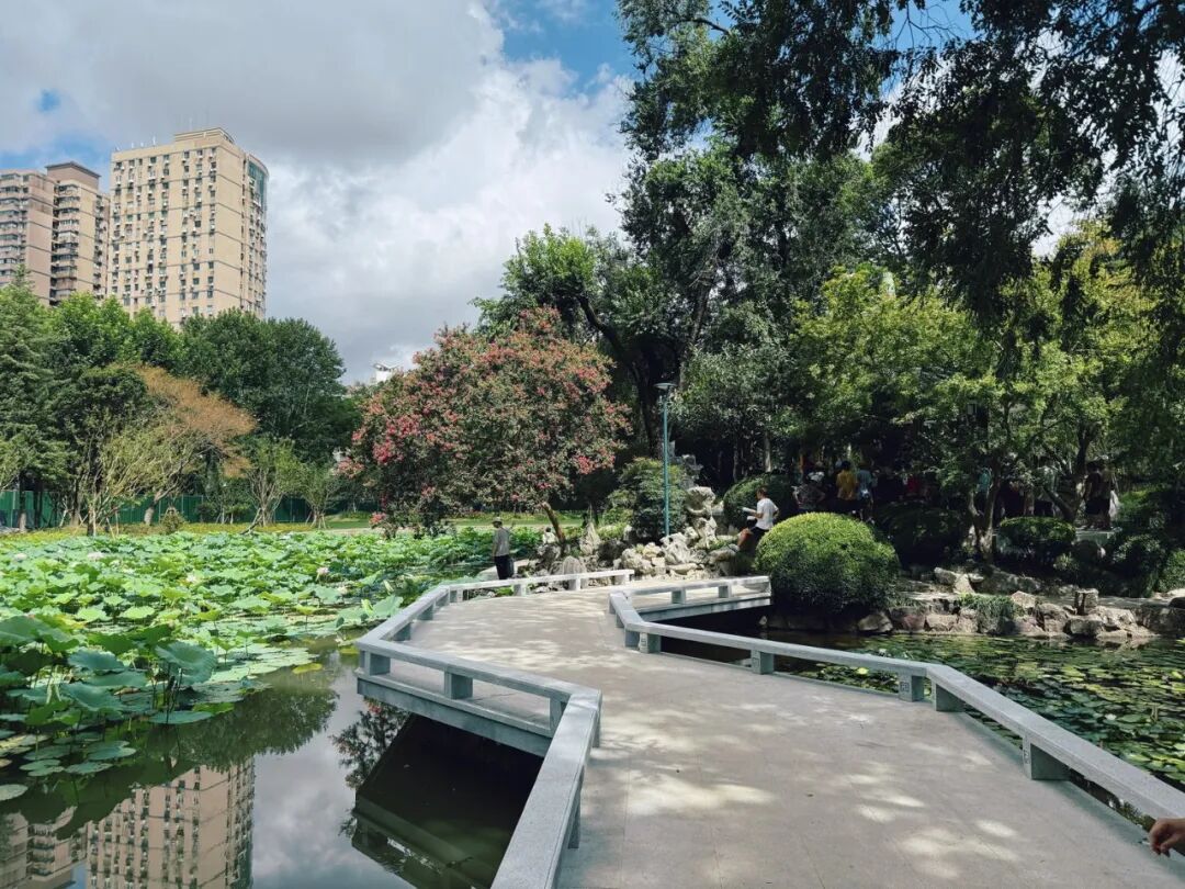 中国园林·理事专栏|“拓”之力量：杨浦公园改造纪实(三)-141
