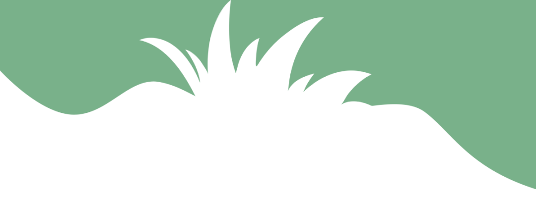 百度烤肉店设计 | 热带雨林风格烤肉餐厅-1