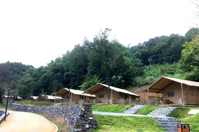 遵义海龙屯茶山露营地项目（传奇星空营地）-4