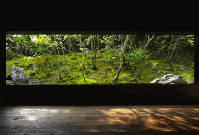 杭州自然美景工作室丨中国杭州丨余伟增,柴荣-59