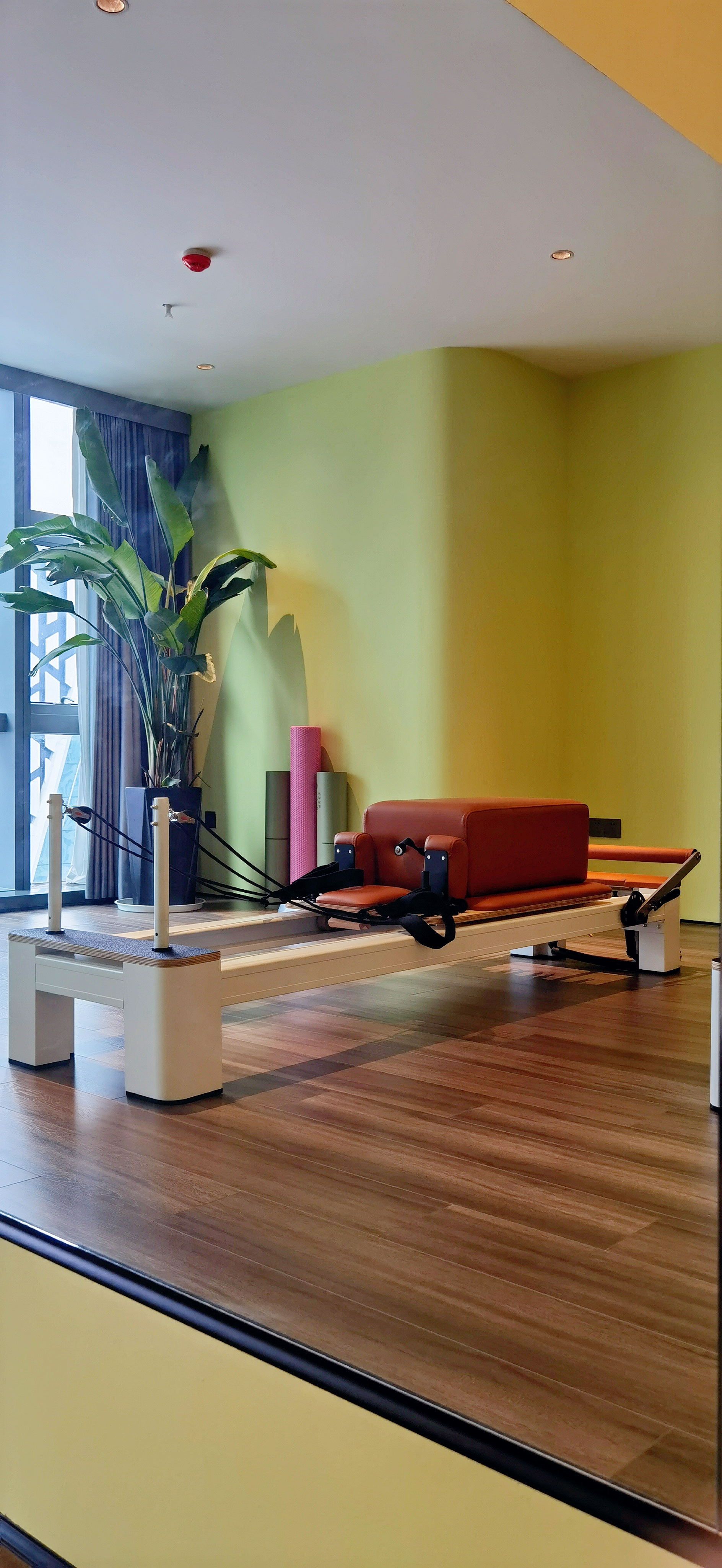 花开如愿/私瑜瑜伽-4